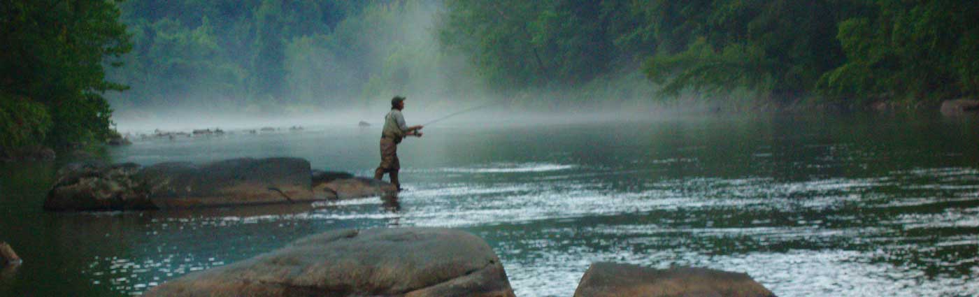 fishing_in_mist